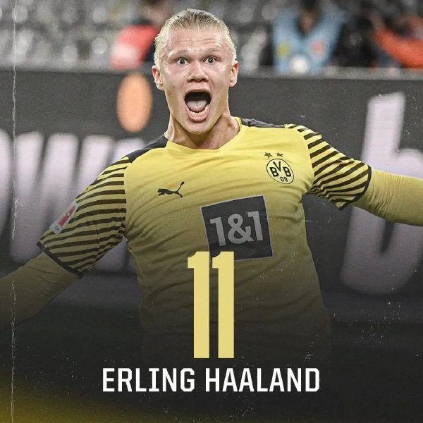 德甲焦点战：霍芬海姆主场硬撼勒沃库森